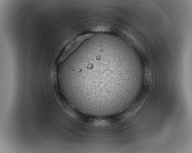 X0000116460547200912161234