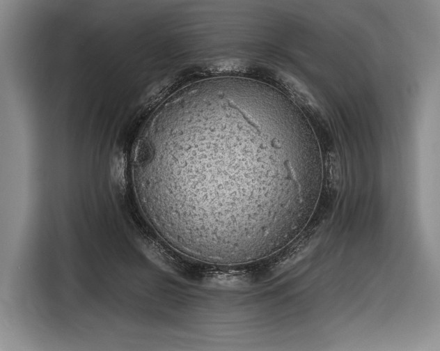 X0000116460550200912161234