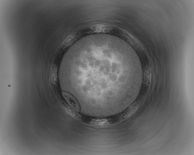 X0000116460554200912161234