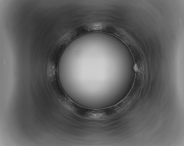 X0000116460555200912161234