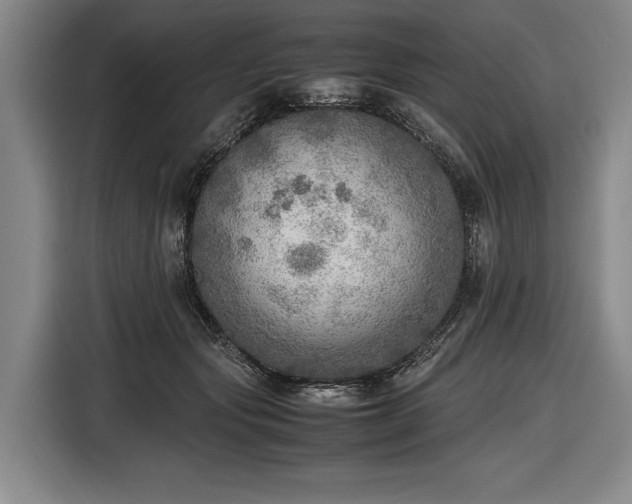 X0000116460557200912161234