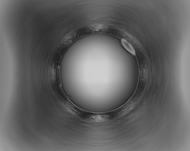 X0000116460558200912161234