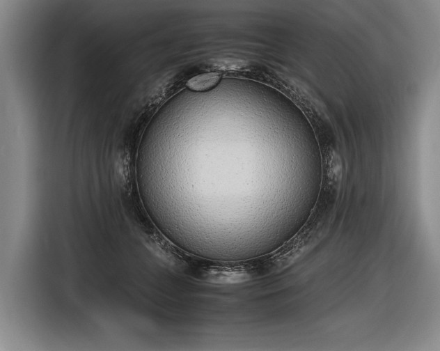 X0000116460559200912161234