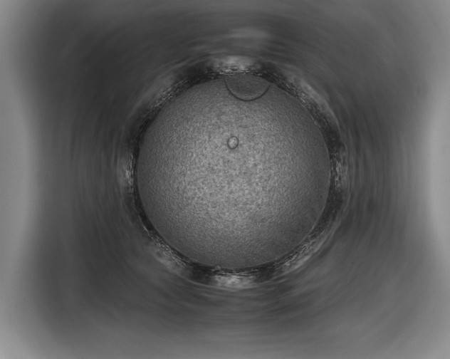 X0000116460561200912161234