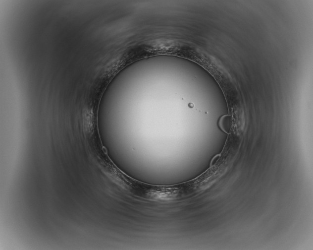 X0000116460563200912161234