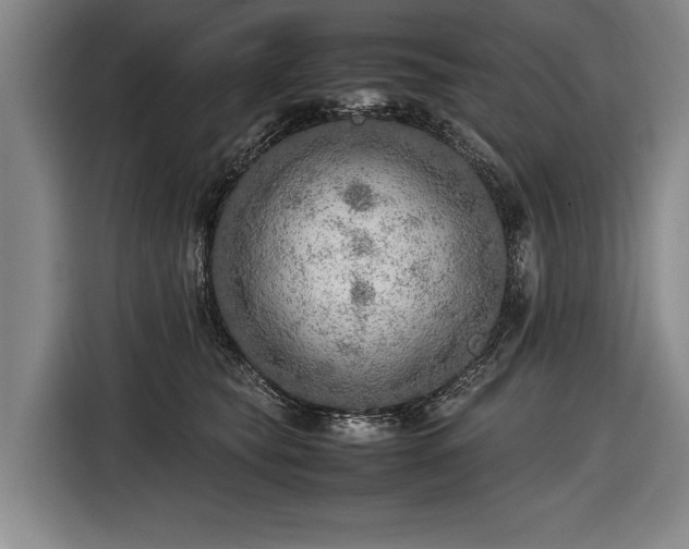 X0000116460565200912161234