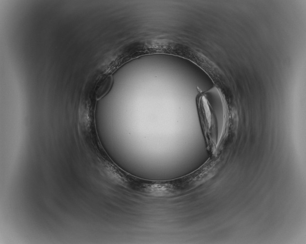X0000116460566200912161234