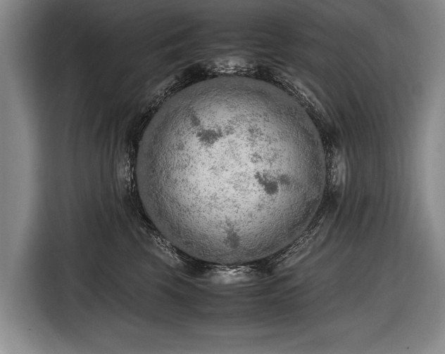 X0000116460569200912161234
