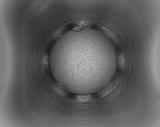 X0000116460571200912161234