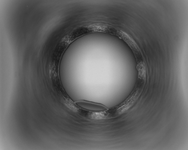 X0000116460573200912161234