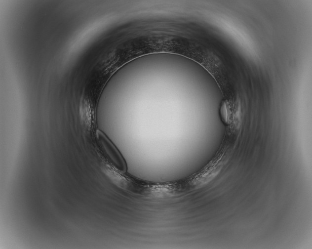 X0000116460574200912161234