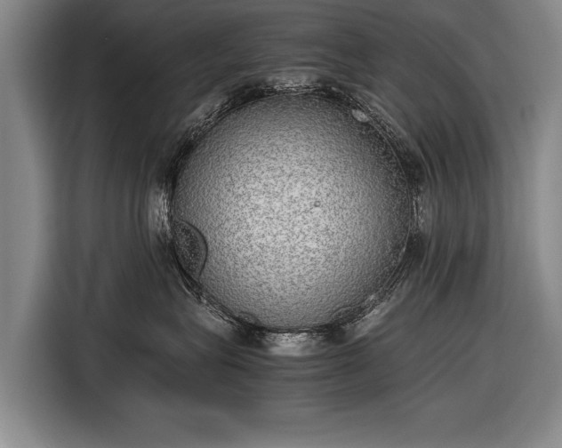 X0000116460575200912161234