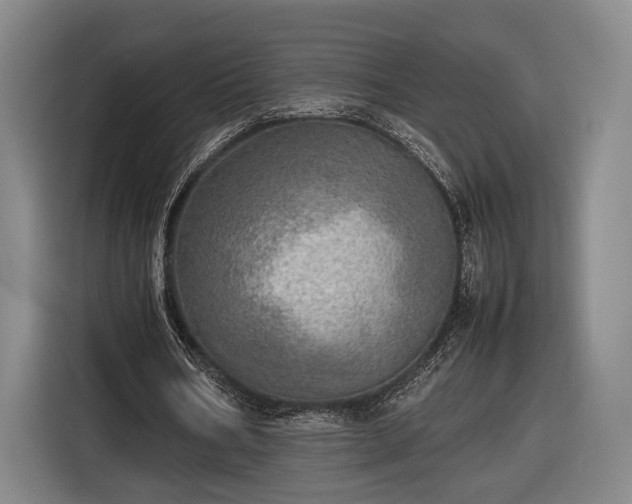 X0000116460578200912161234