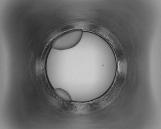 X0000116460579200912161234