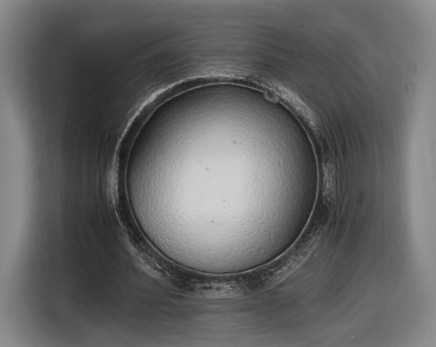X0000116460580200912161234