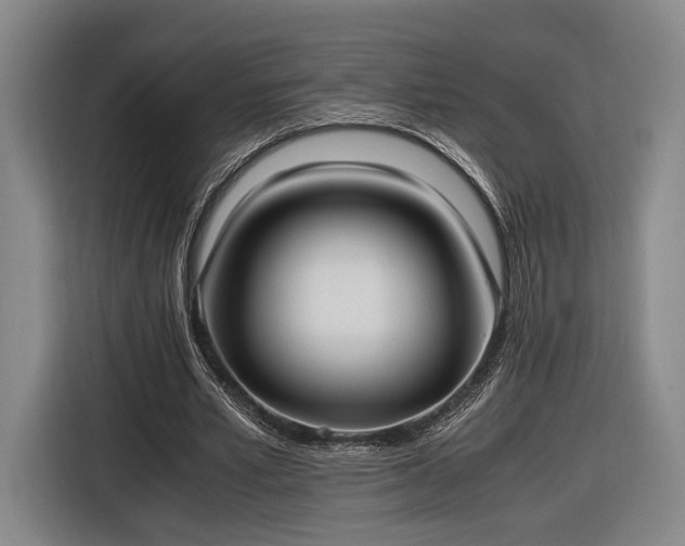 X0000116460581200912161234