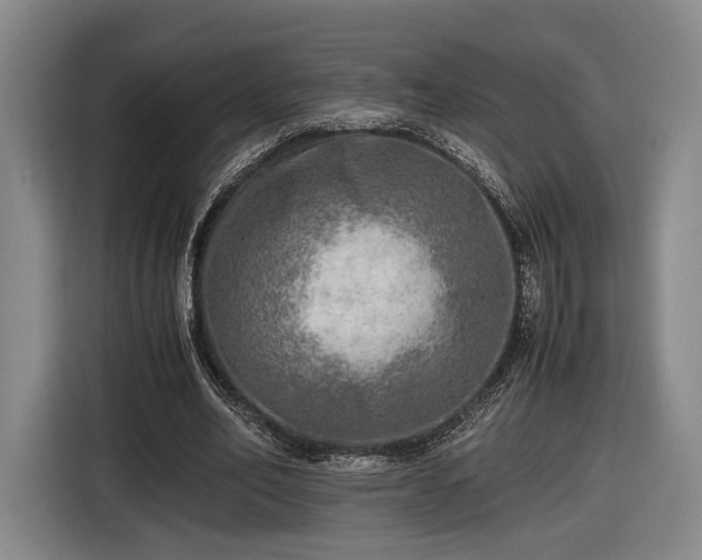X0000116460582200912161234