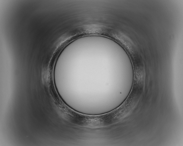 X0000116460583200912161234