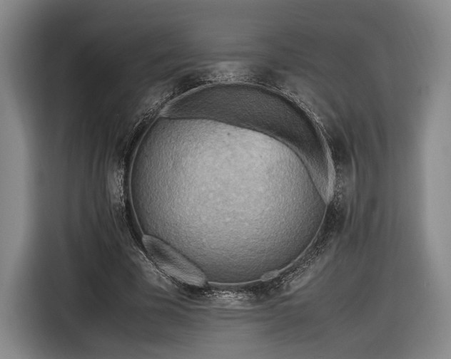 X0000116460585200912161234