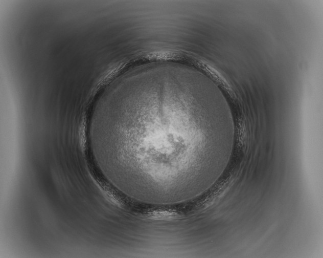 X0000116460586200912161234