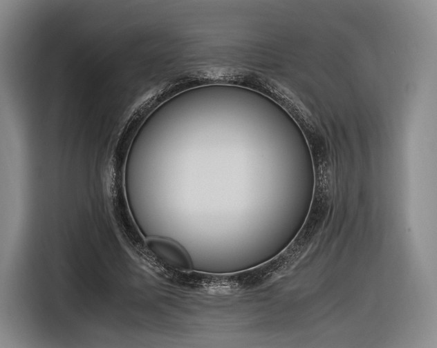X0000116460587200912161234