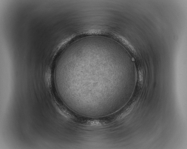 X0000116460588200912161234