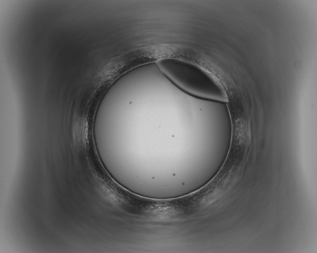 X0000116460589200912161234