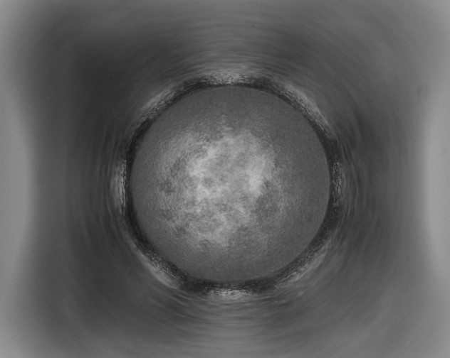 X0000116460590200912161234