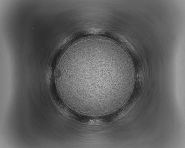 X0000116460591200912161234