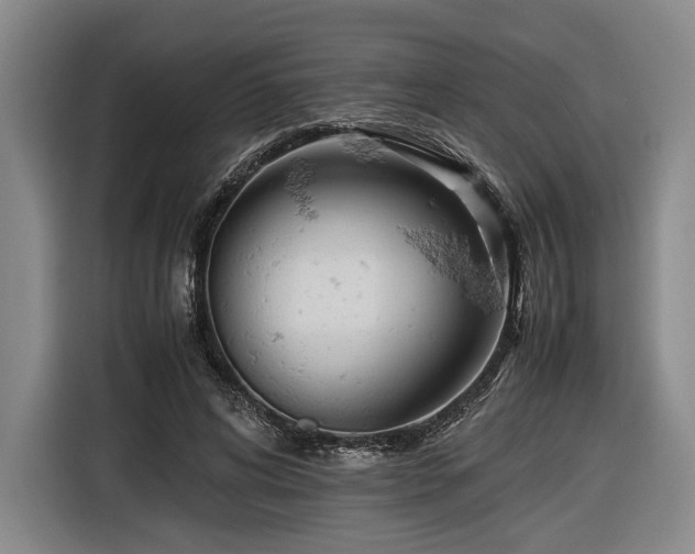 X0000116460592200912161234