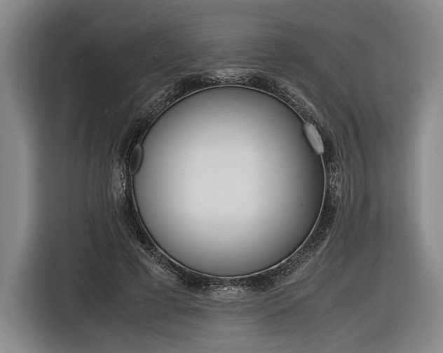X0000116460593200912161234