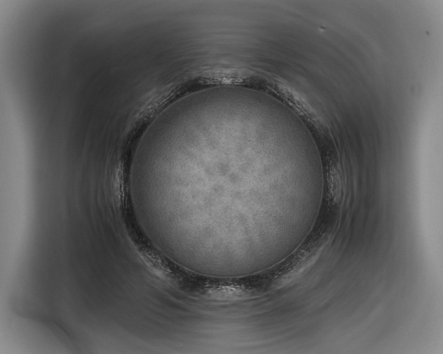 X0000116460594200912161234