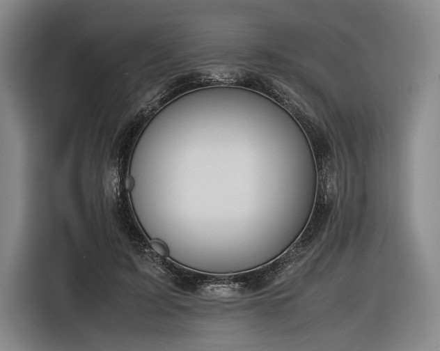 X0000116460595200912161234