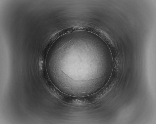 X0000116460596200912161234