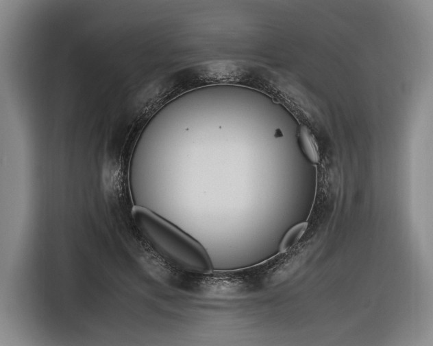 X0000116460597200912161234