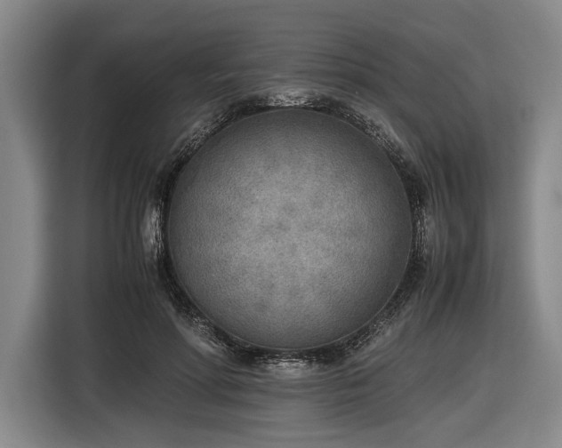 X0000116460598200912161234