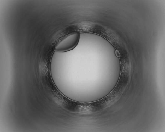 X0000116460599200912161234
