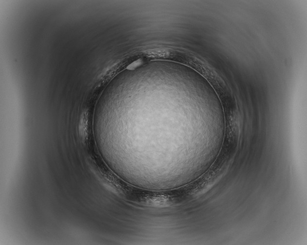 X0000116460600200912161234