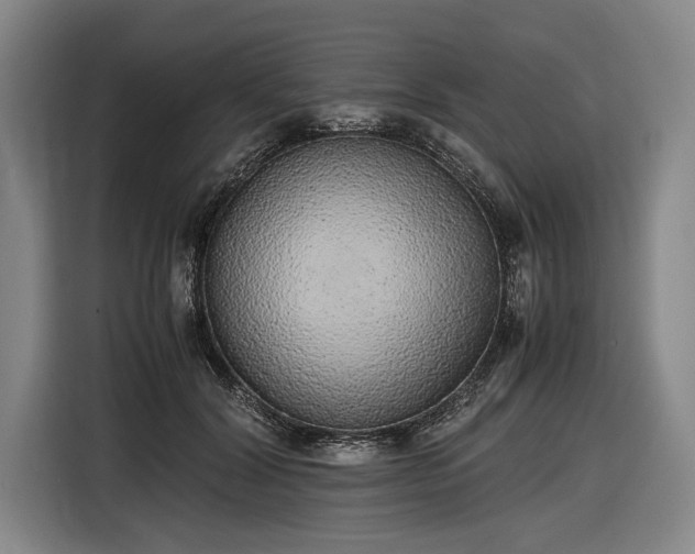 X0000116460604200912161233