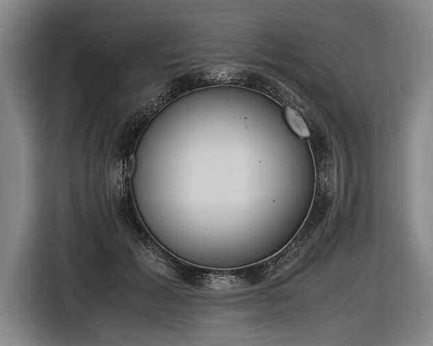 X0000116460605200912161233