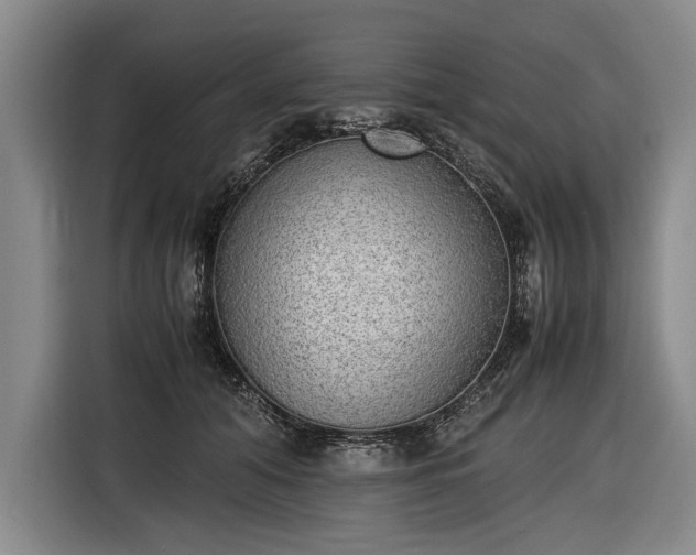 X0000116460608200912161233