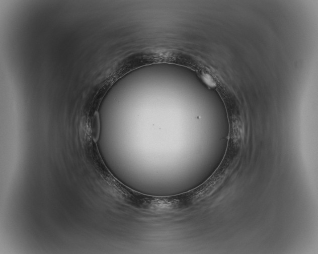 X0000116460613200912161233