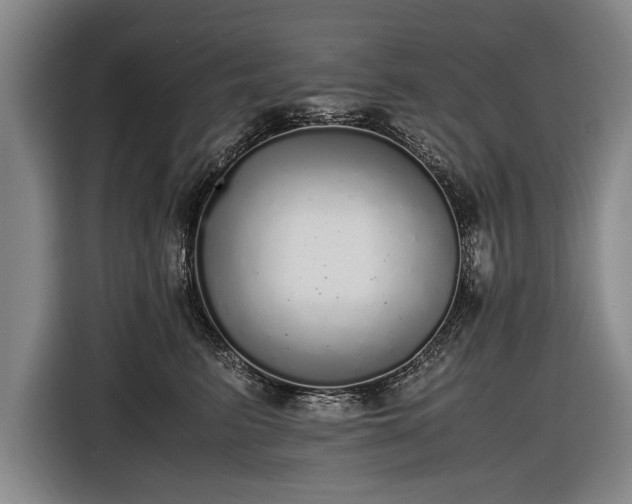 X0000116460615200912161233