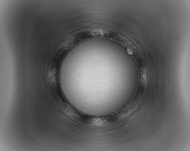 X0000116460616200912161233