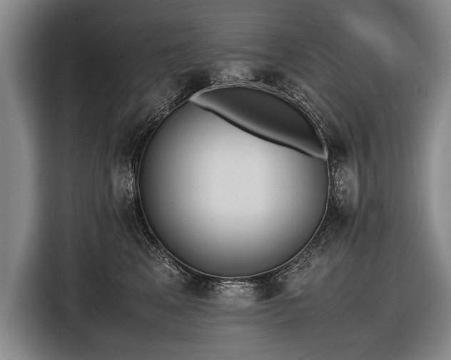 X0000116460617200912161233