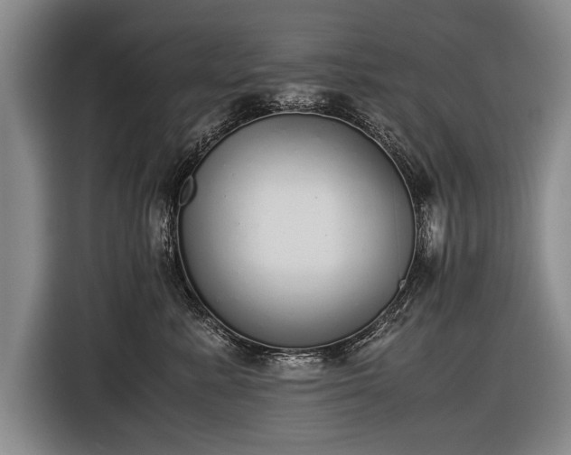 X0000116460619200912161233