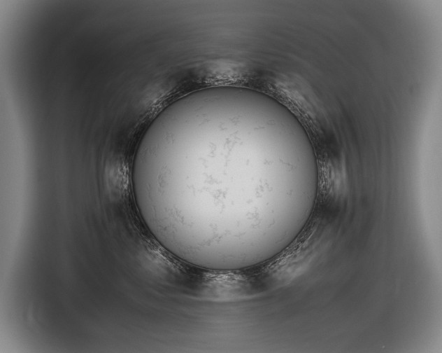 X0000116460621200912161233