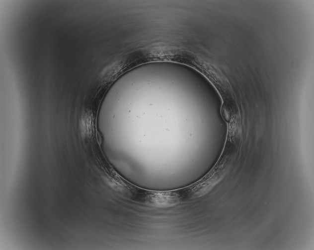 X0000116460623200912161233