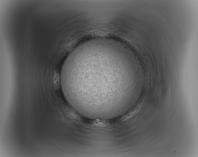 X0000116460624200912161233