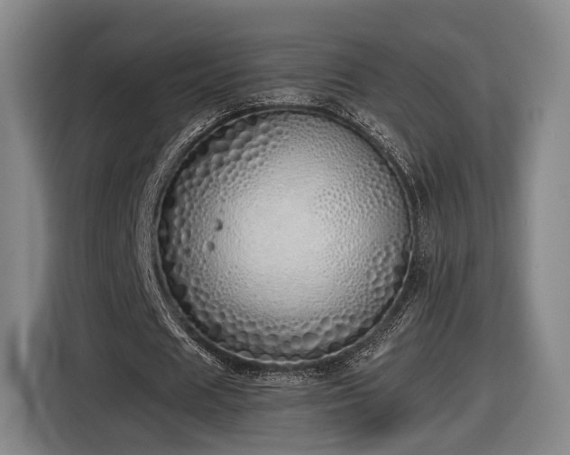 X0000116460625200912161233